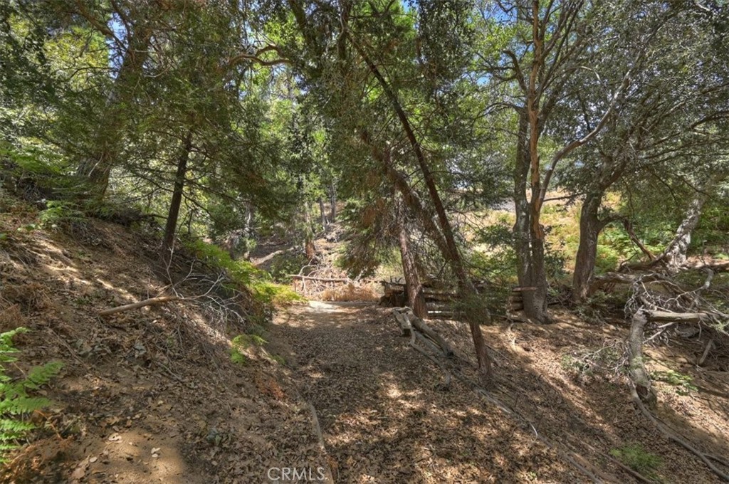 31070 Old City Creek Property Photo 9