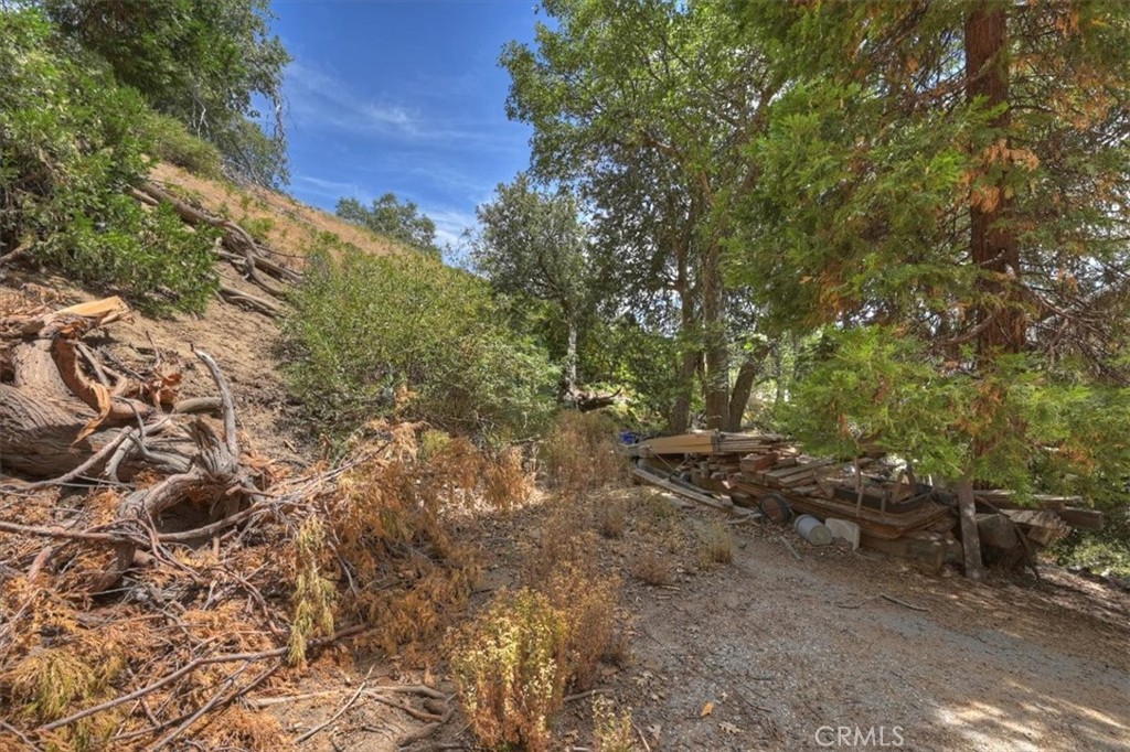 31070 Old City Creek Property Photo 10