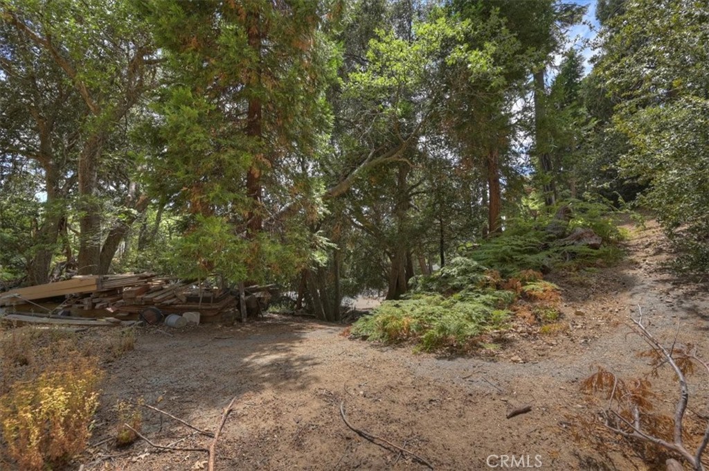 31070 Old City Creek Property Photo 16