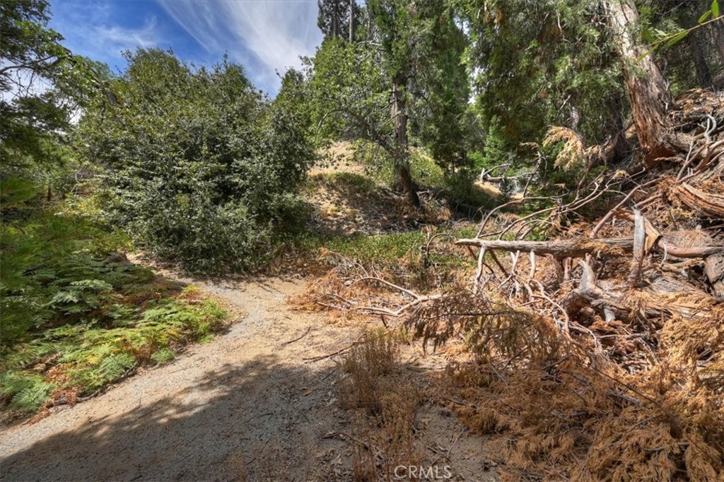 31070 Old City Creek Property Photo 17