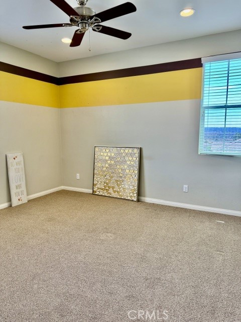 7524 Aplin Street Property Photo 21
