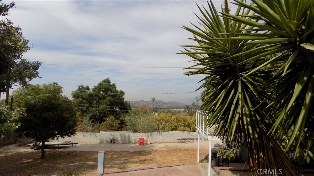 1733 Bonita Vista Property Photo 23
