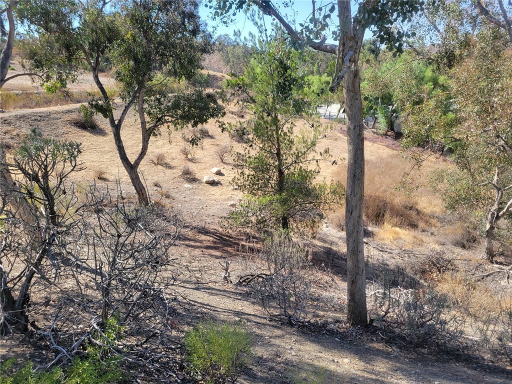0 Retreat Parkway Property Photo 3
