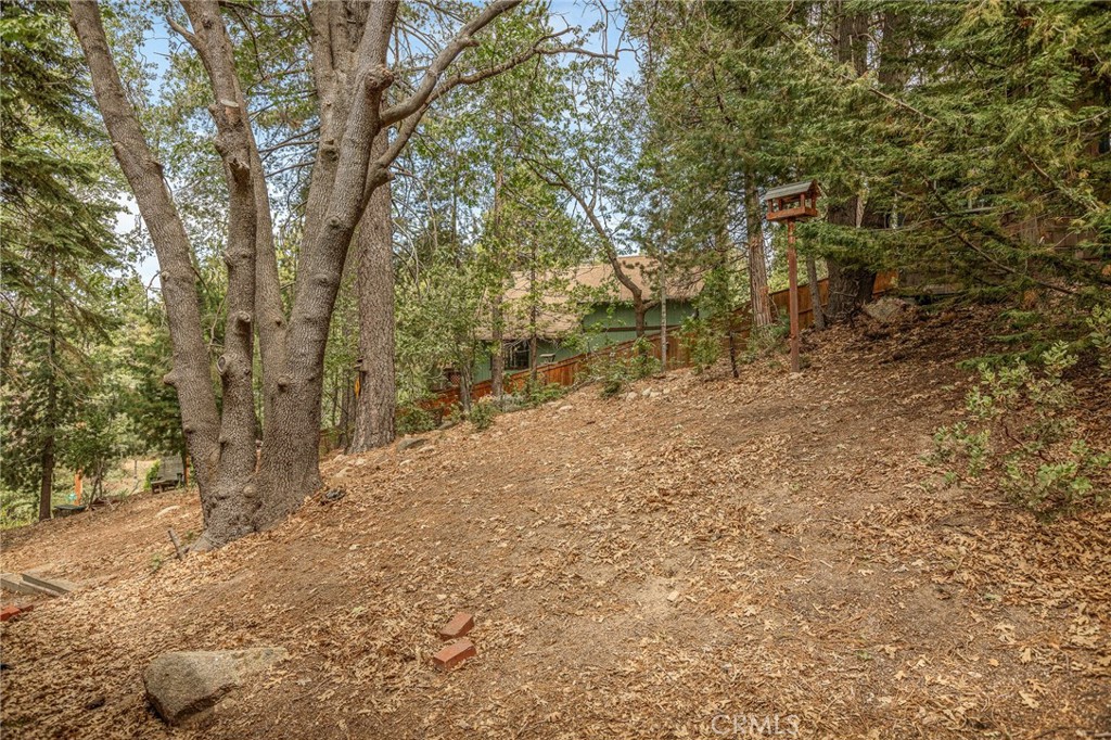 2643 Soutar Property Photo 37