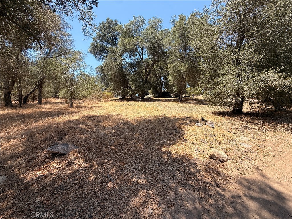 0 Keyes Drive Property Photo 1