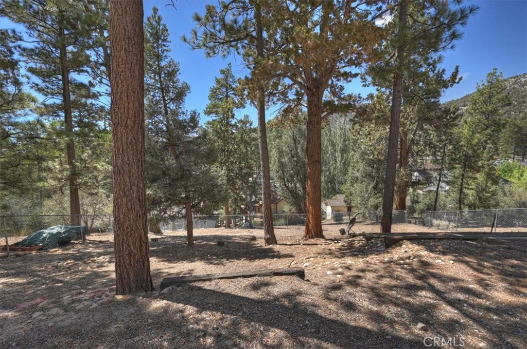 911 Panamint Mountain Property Photo 36