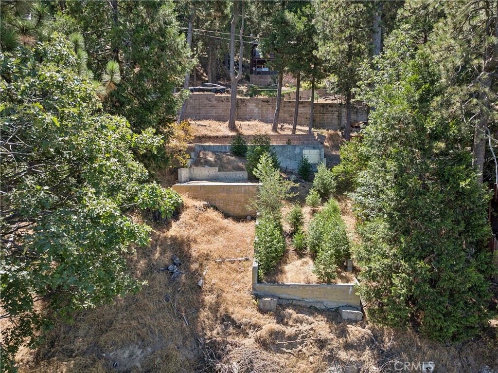 24240 Bernard Drive Property Photo 7