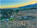 0 Deercrest Estates Property Photo 1