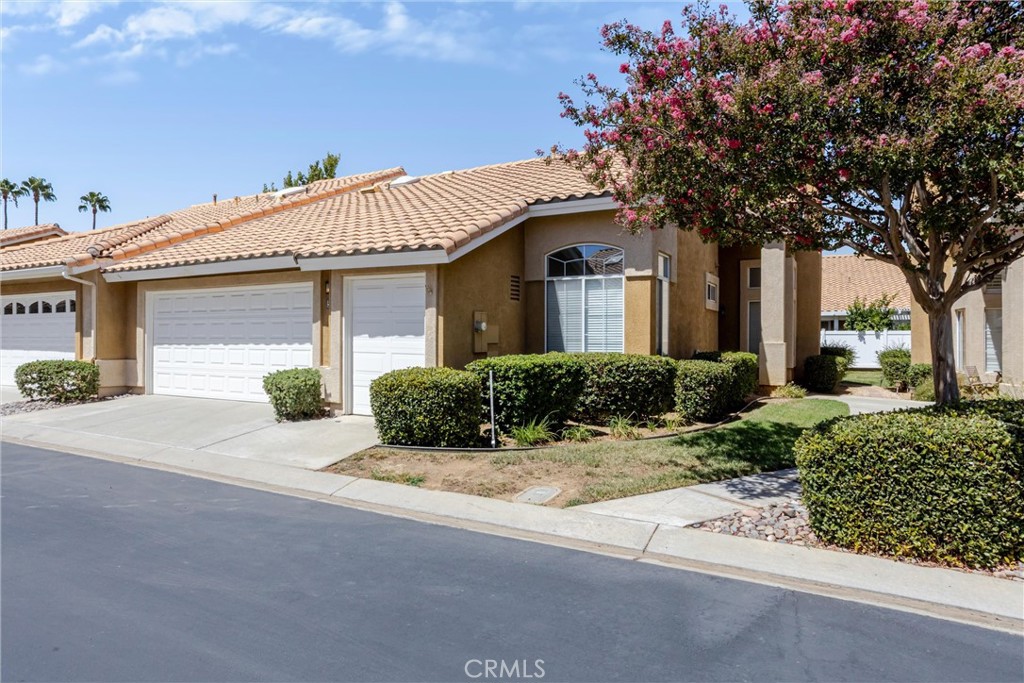 5439 Trevino Way Property Photo 26