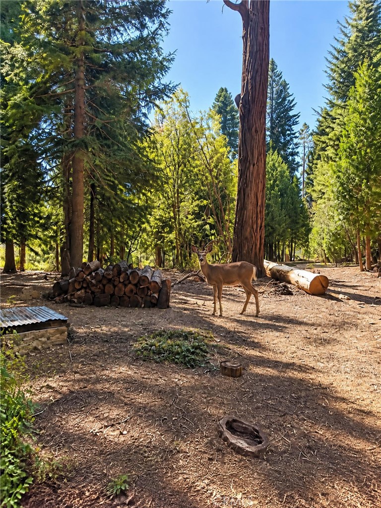 27877 Holly Property Photo 20