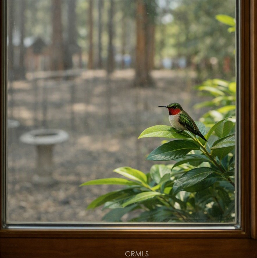 27877 Holly Property Photo 23