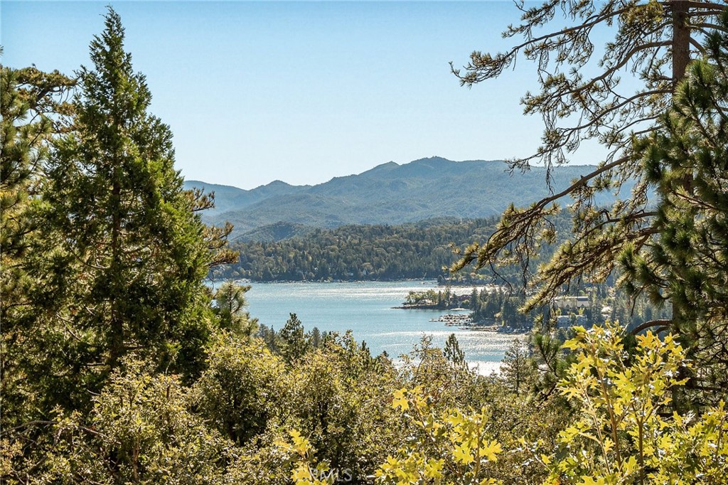 201 Grizzly Property Photo 2