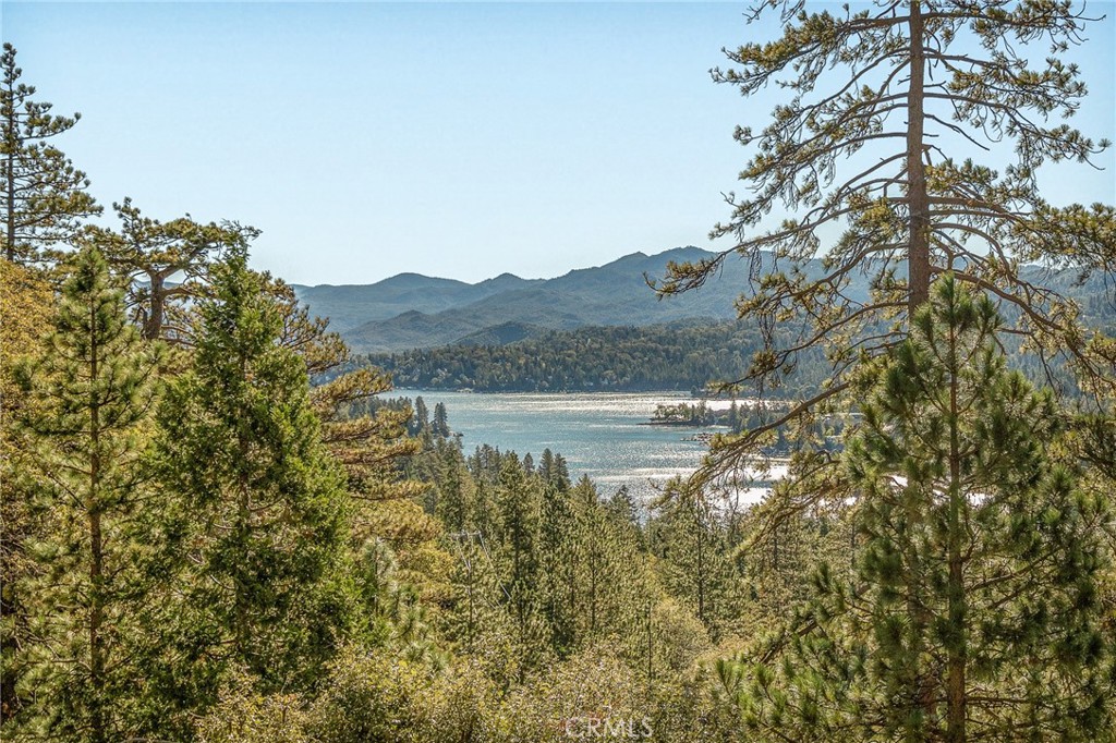 201 Grizzly Property Photo 48
