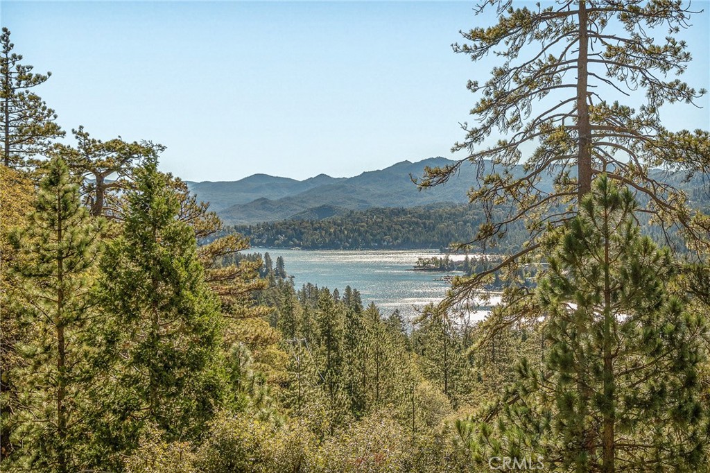 201 Grizzly Property Photo 48