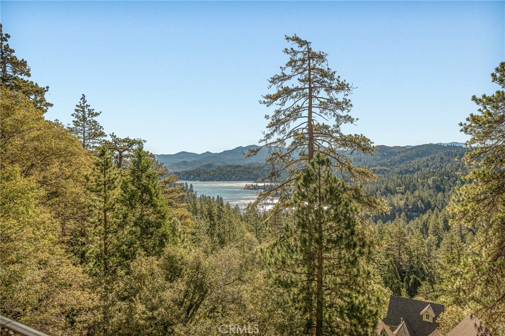 201 Grizzly Property Photo 49