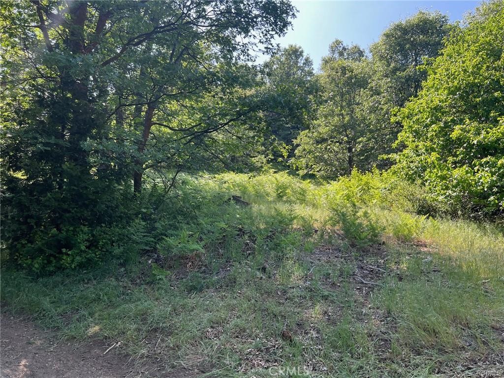 28879 Sycamore Drive Property Photo 24