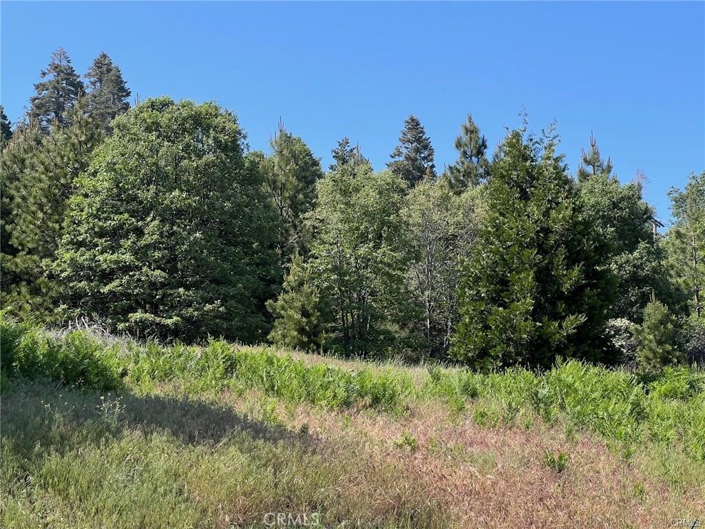 28879 Sycamore Drive Property Photo 25