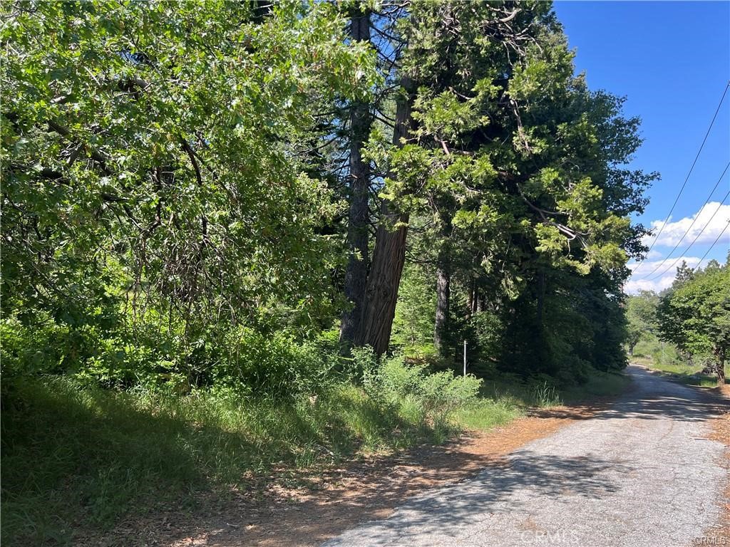 28879 Sycamore Drive Property Photo 32