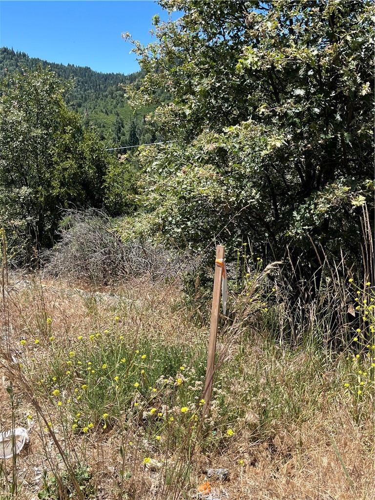 0 Balsam Way Property Photo 3
