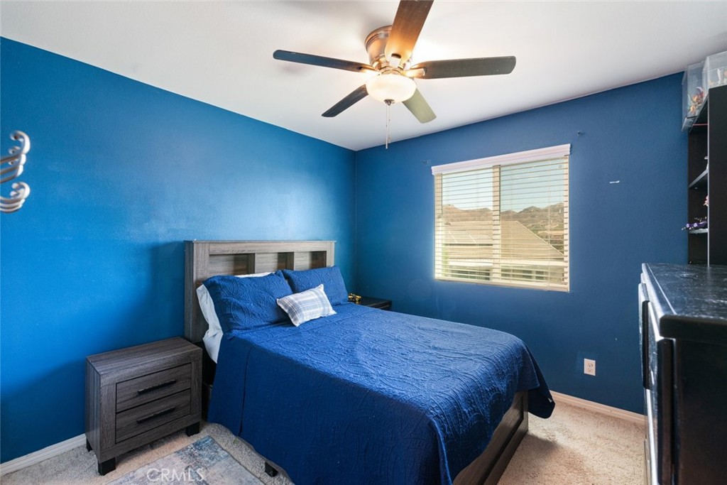 29342 Sword Fern Property Photo 27