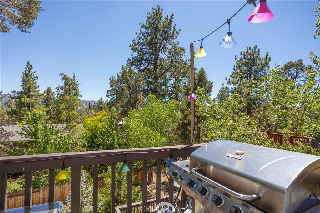 764 Panamint Mountain Property Photo 47