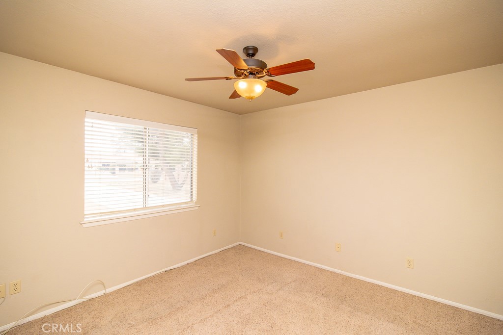 20376 Tonawanda Property Photo 58