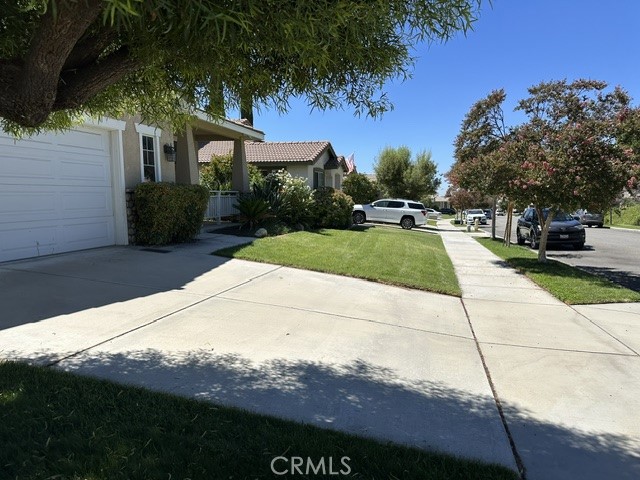 34563 Yale Property Photo 3