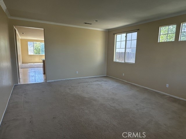 34563 Yale Property Photo 4