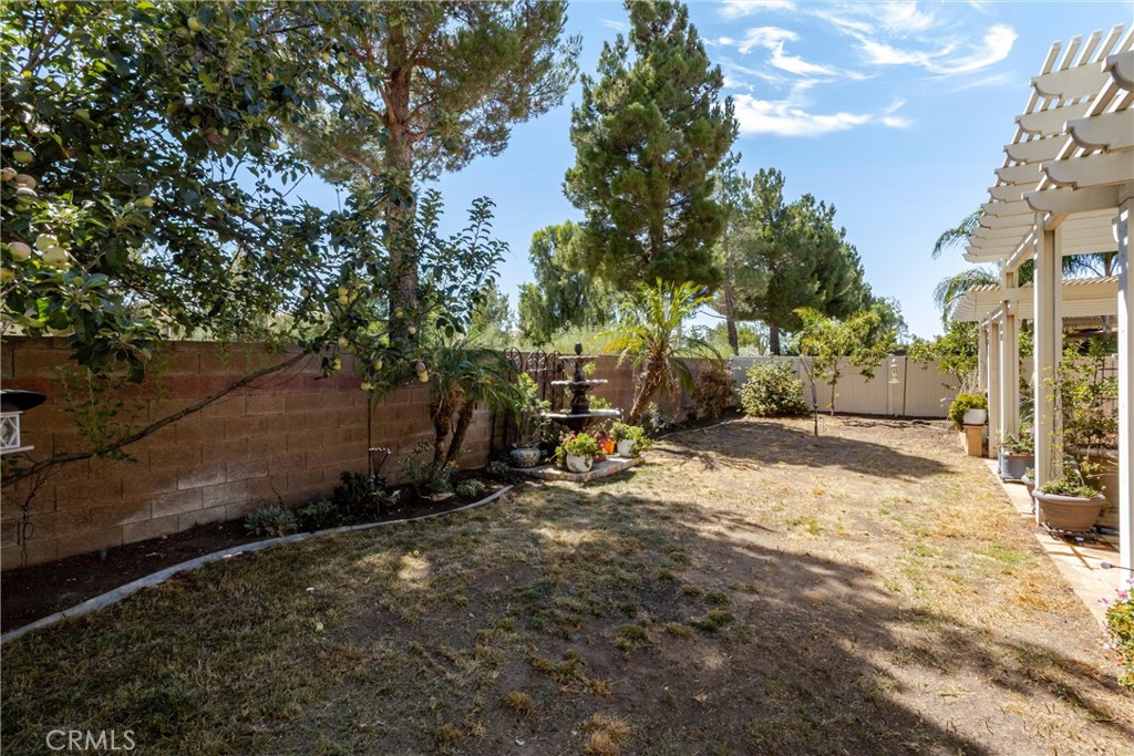 1665 Jade Moon Lane Property Photo 37