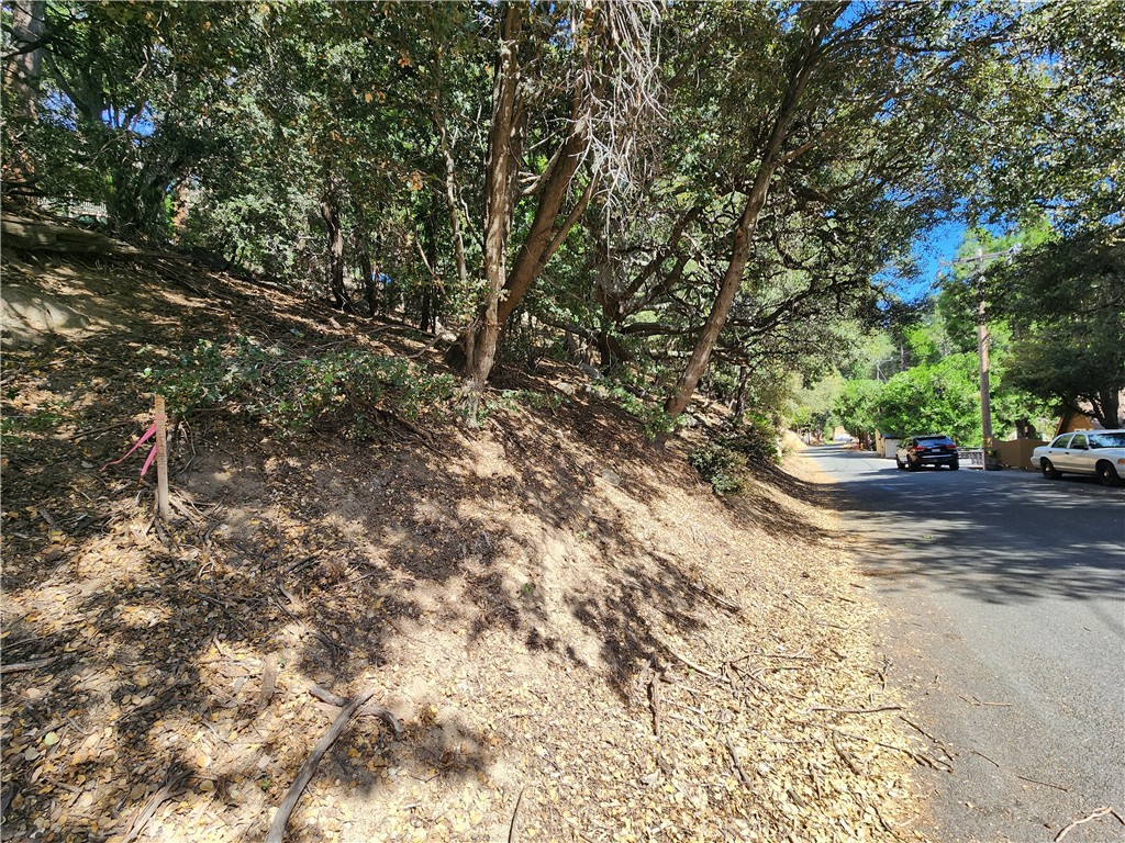 1127 Arbula Drive Property Photo 1