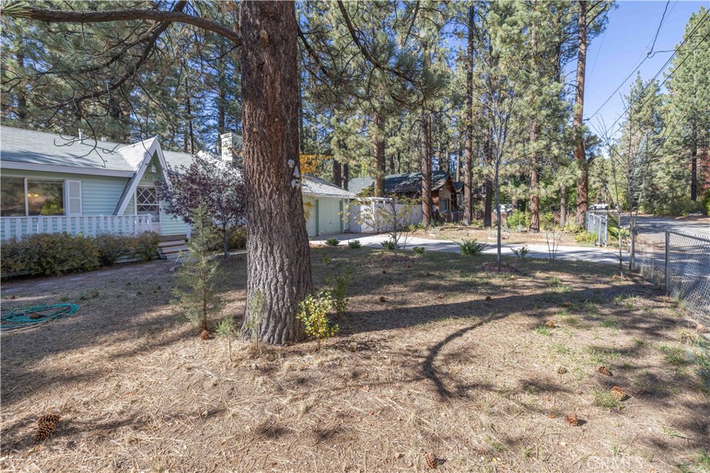 913 Tinkerbell Avenue Property Photo 2