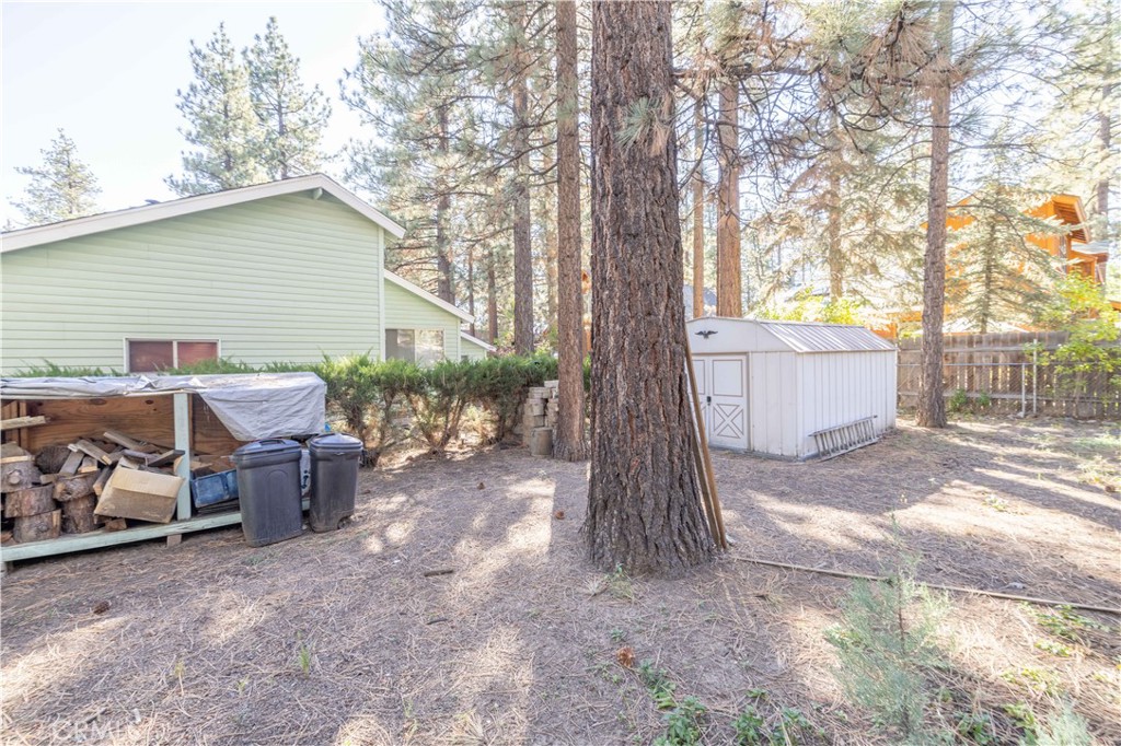 913 Tinkerbell Avenue Property Photo 3
