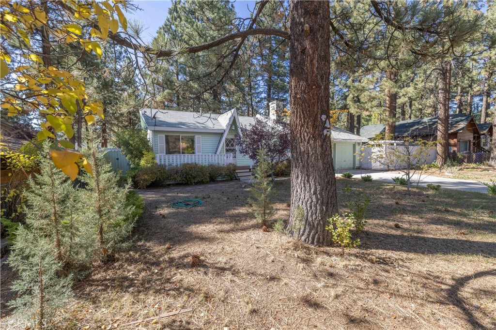 913 Tinkerbell Avenue Property Photo 7