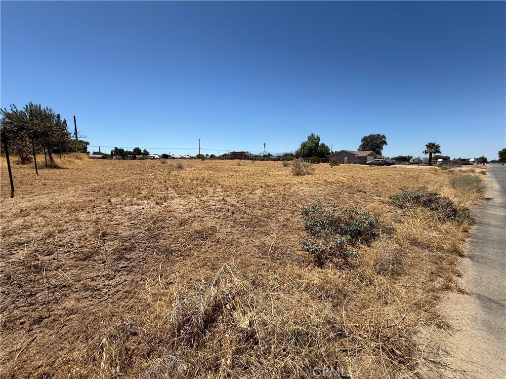 11 Cholame Property Photo 13