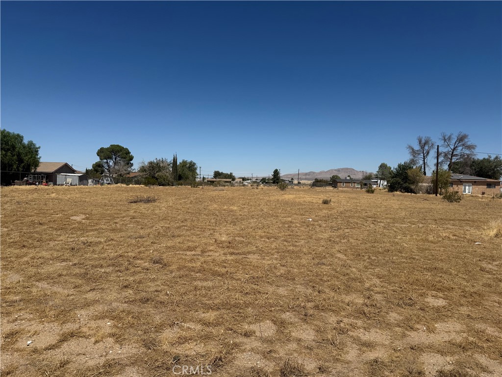 11 Cholame Property Photo 16