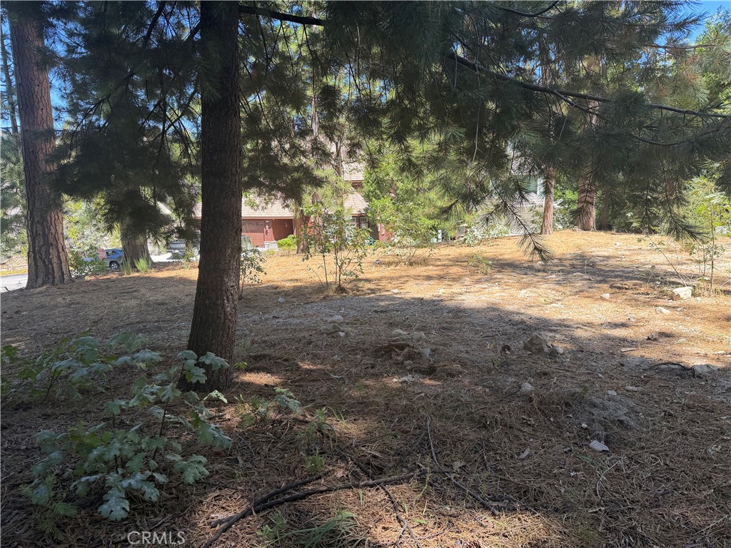 27586 Meadow Bay Property Photo 2