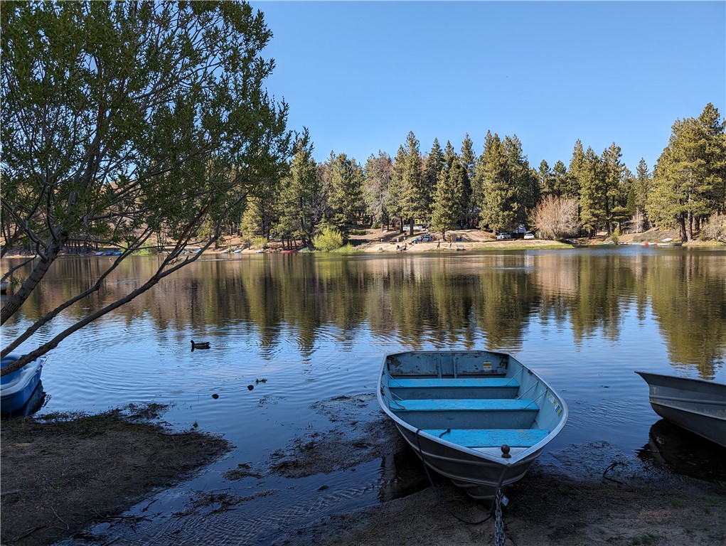 33413 Holcomb Creek Property Photo 4