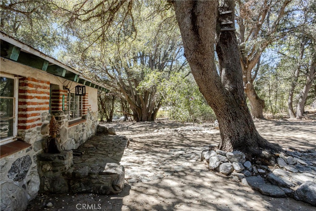 39922 Pine Bench Road Property Photo 20