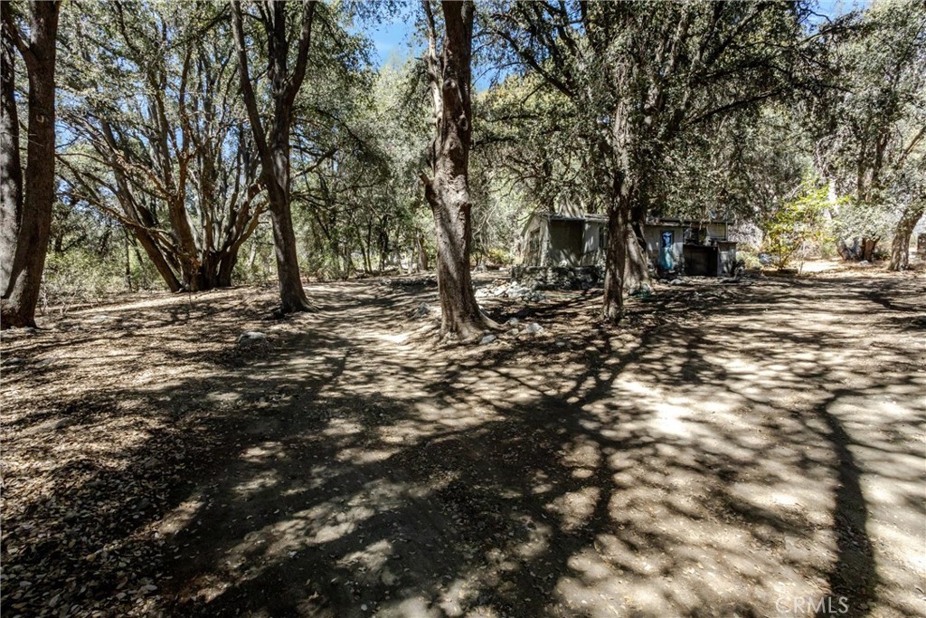 39922 Pine Bench Road Property Photo 23