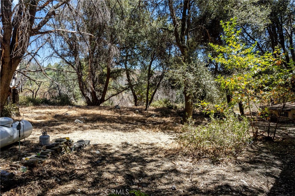 39922 Pine Bench Road Property Photo 24