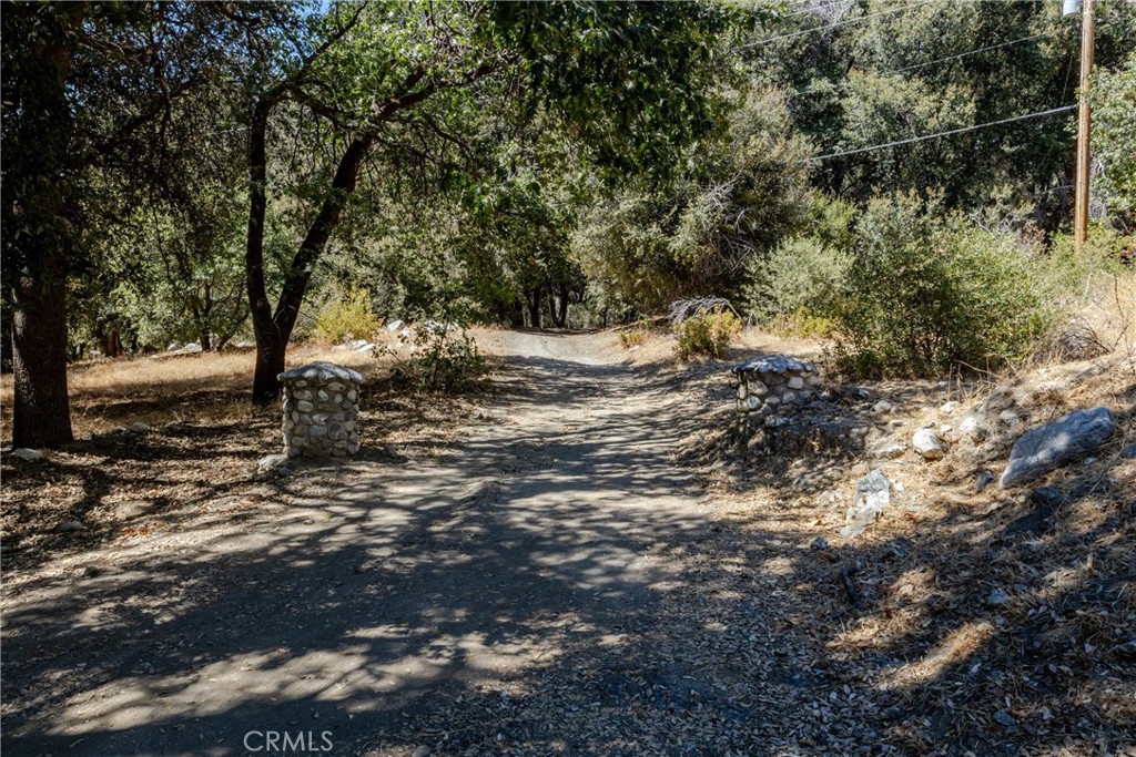39922 Pine Bench Road Property Photo 25