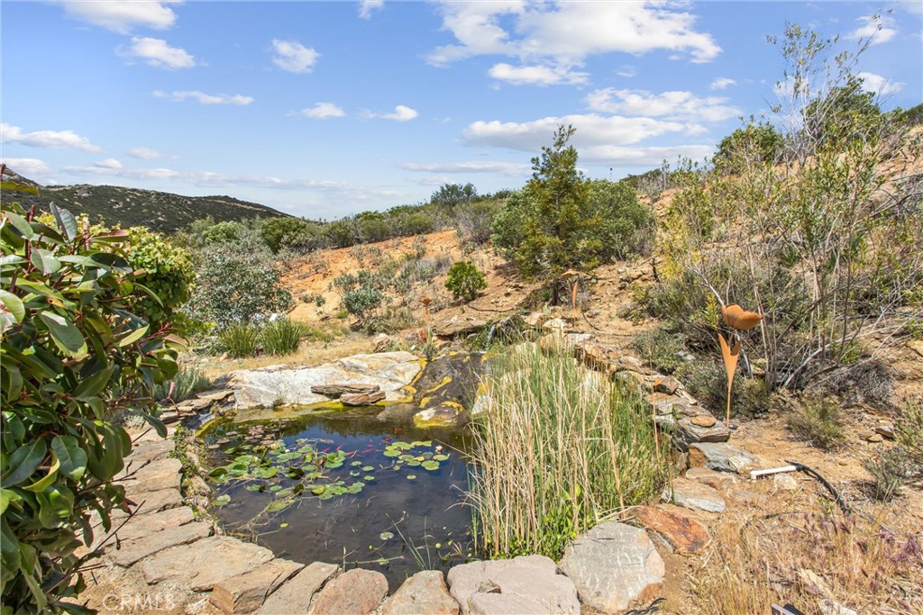 47112 Woodcliff Drive Property Photo 34