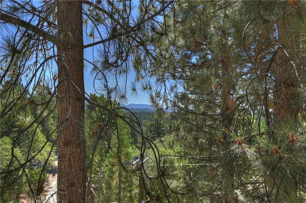 1753 Nob Hill Drive Property Photo 3