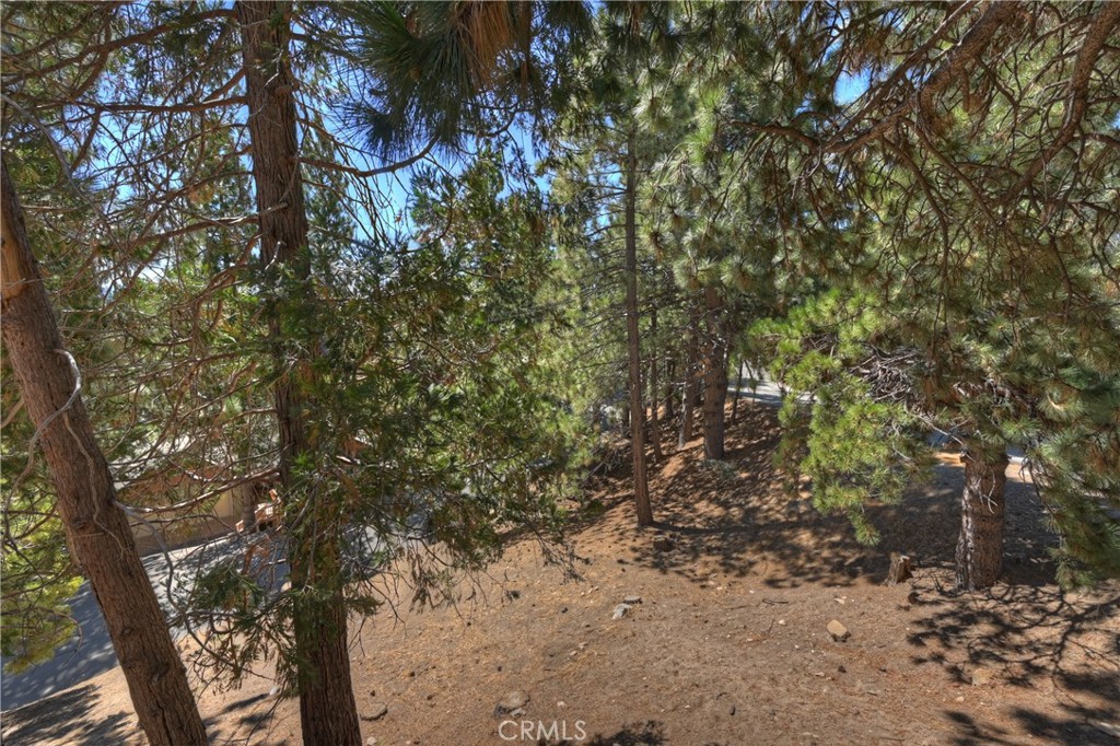 1753 Nob Hill Drive Property Photo 29