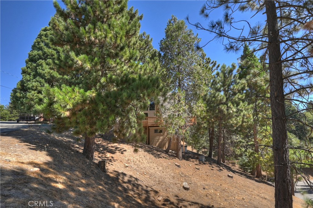 1753 Nob Hill Drive Property Photo 33