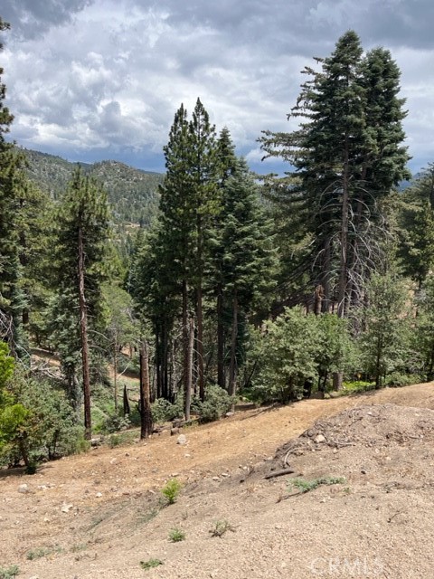 2349 Deep Creek Property Photo 1