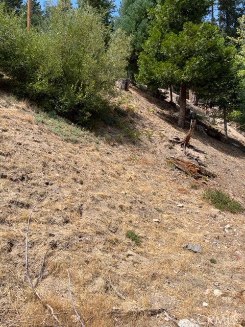 2349 Deep Creek Property Photo 5