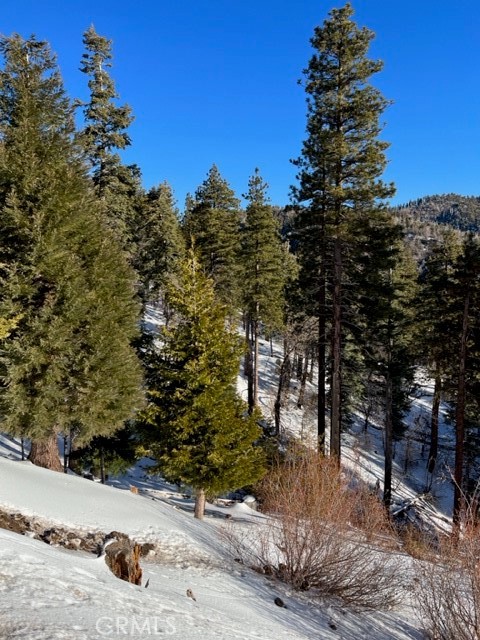 2349 Deep Creek Property Photo 6