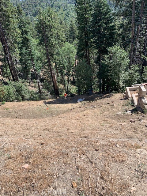 2349 Deep Creek Property Photo 8