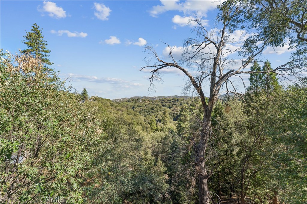 24798 Edelweiss Property Photo 3